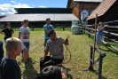 Bild_19